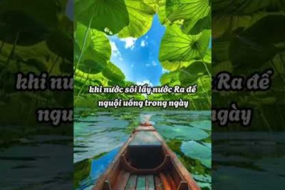 ⚠️ BÀI THUỐC DÂN GIAN CHO NGƯỜI THẬN YẾU – Giúp bổ thận, giảm mệt mỏi, tiểu đêm!