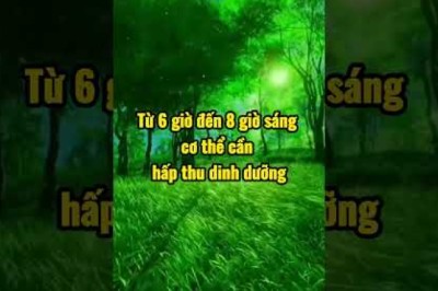3 Khung giờ quan trọng nhất của cơ thể