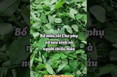 5 Tác dụng bất ngờ từ rau ngót